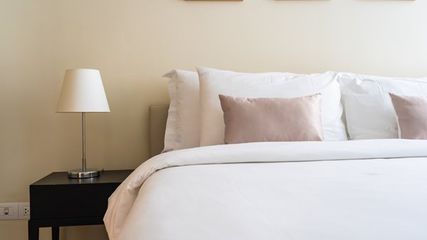 Repérer les puces : les indices à ne pas ignorer dans votre habitat